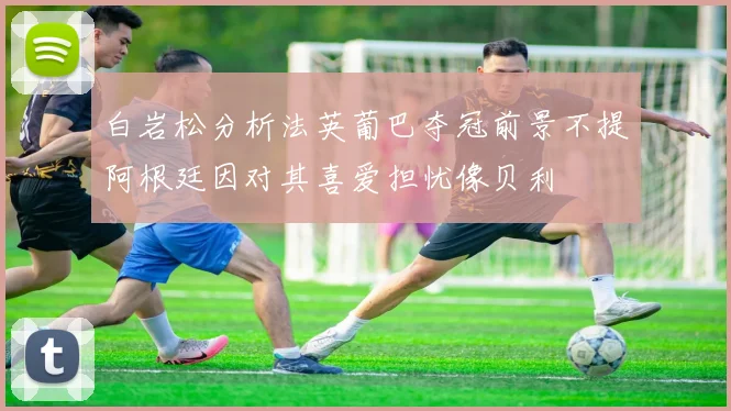 白岩松分析法英葡巴夺冠前景不提阿根廷因对其喜爱担忧像贝利